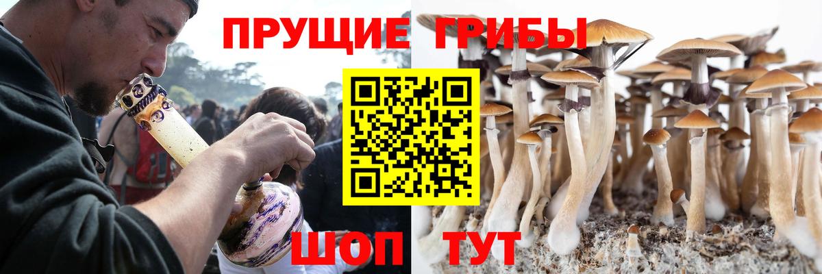 Псилоцибиновые грибы ЛСД  Вход с VPN  Сергиев Посад  Галлюциногенные грибы мухоморы 
